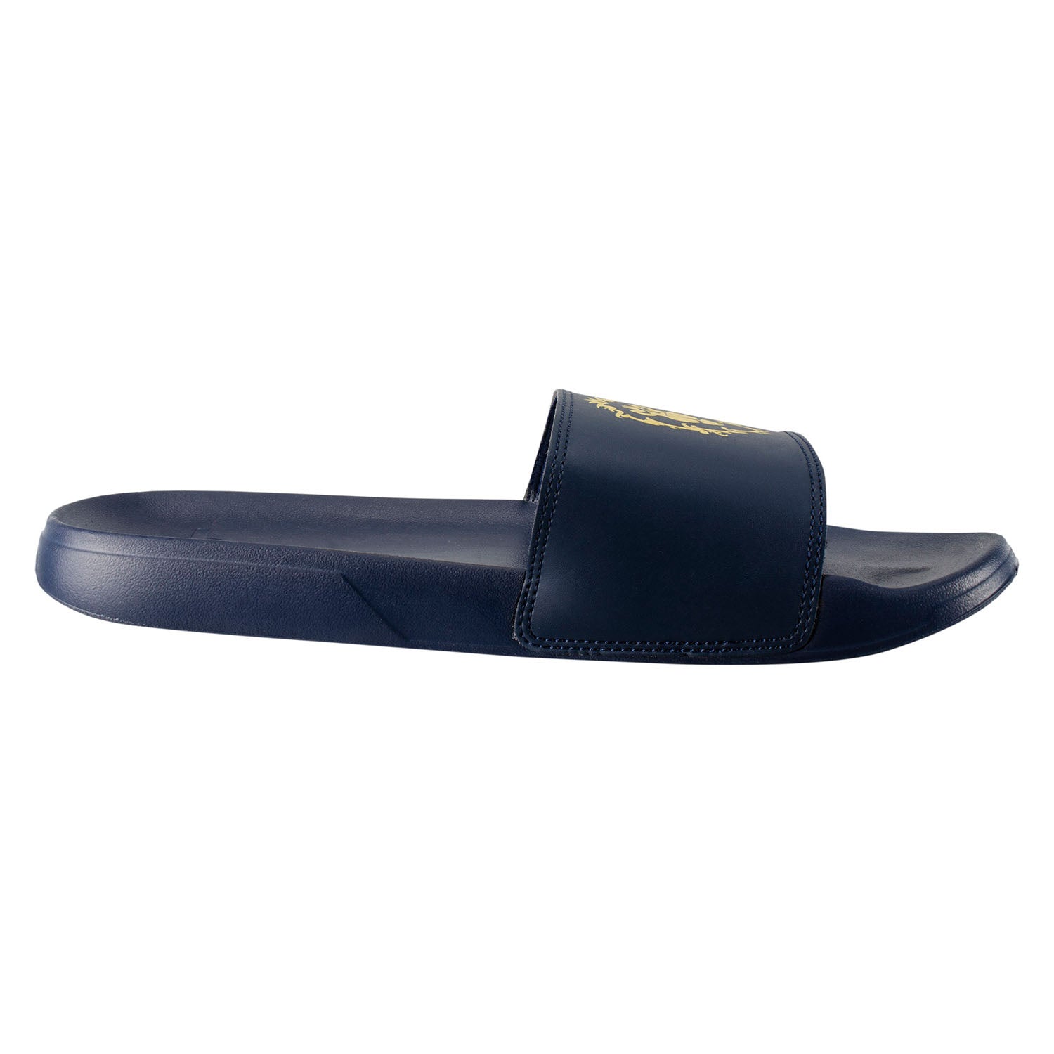 World of Warcraft Alliance Logo Navy Slides